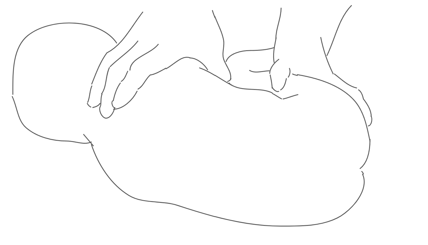 lp10_posture_infant.png